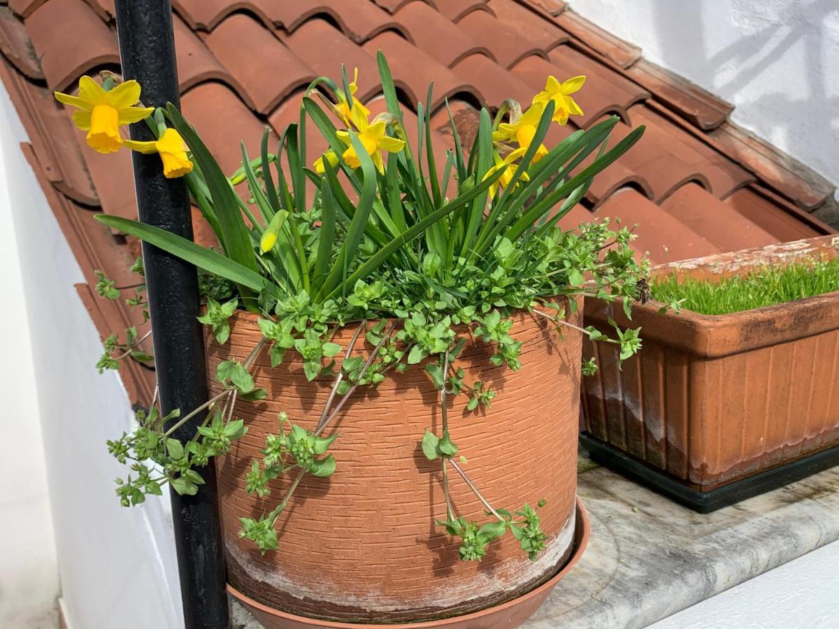 Rooftop Terrace Domus Dei Fabbri Venetië Buitenkant foto