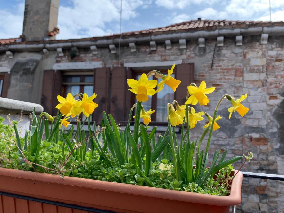 Rooftop Terrace Domus Dei Fabbri Appartement Venetië Buitenkant foto